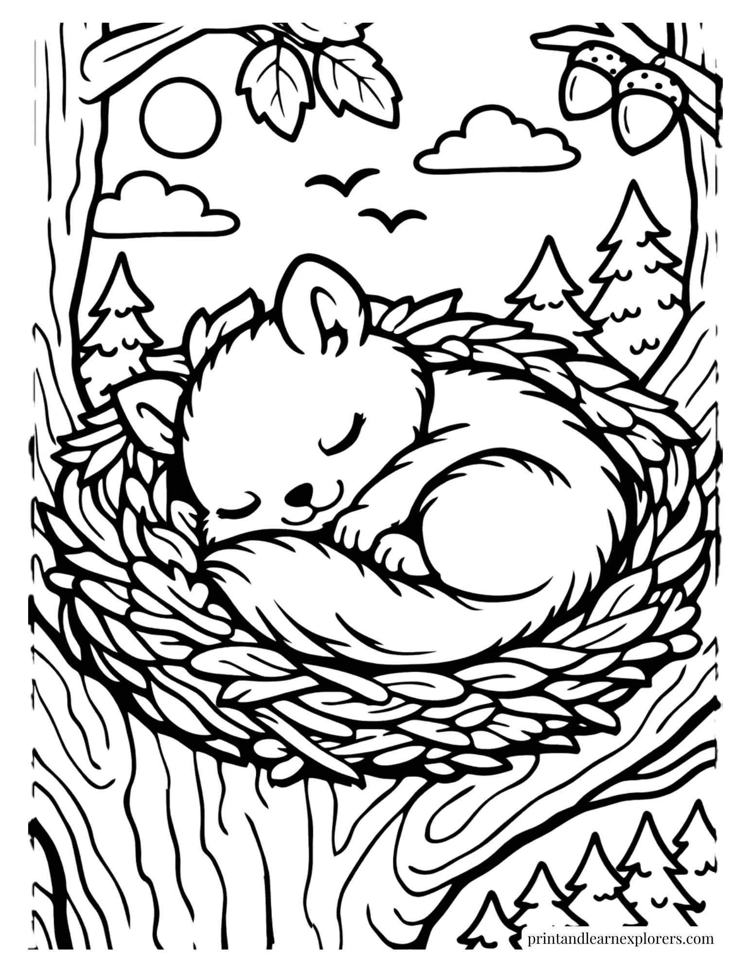 Baby squirrel sleeping inside a cozy nest coloring page