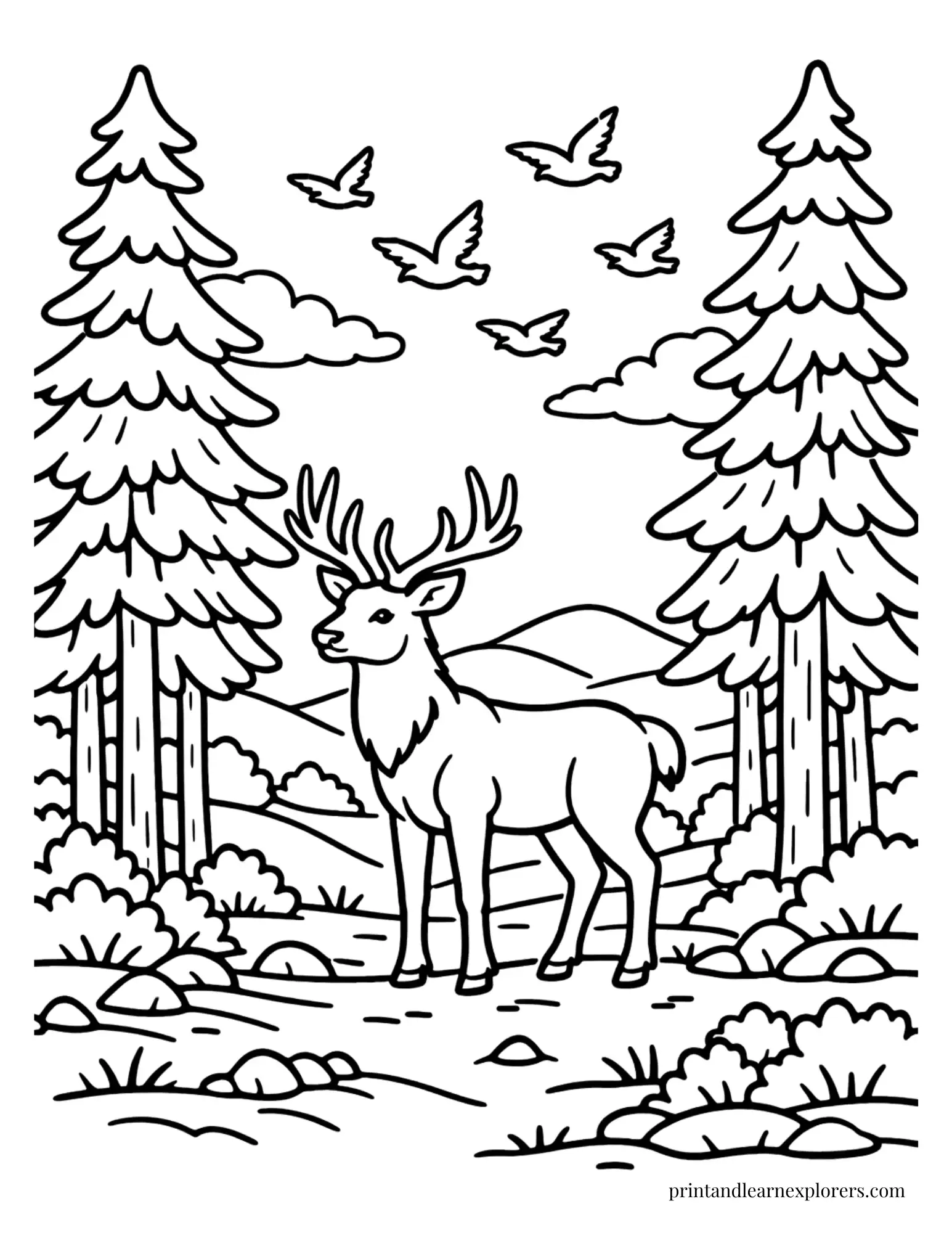 03 deer beneath pine trees coloring page