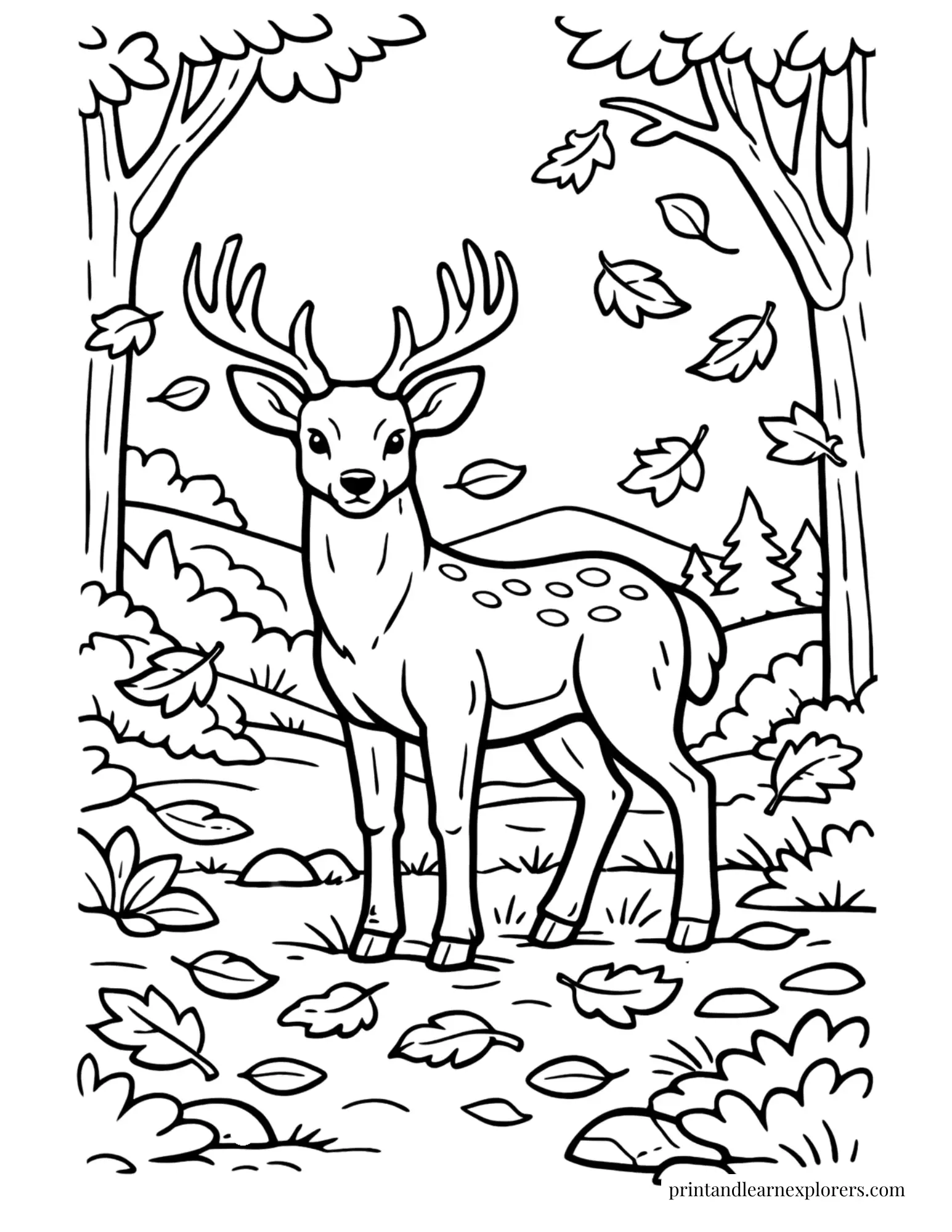 03 deer in autumn forest clearing coloring page