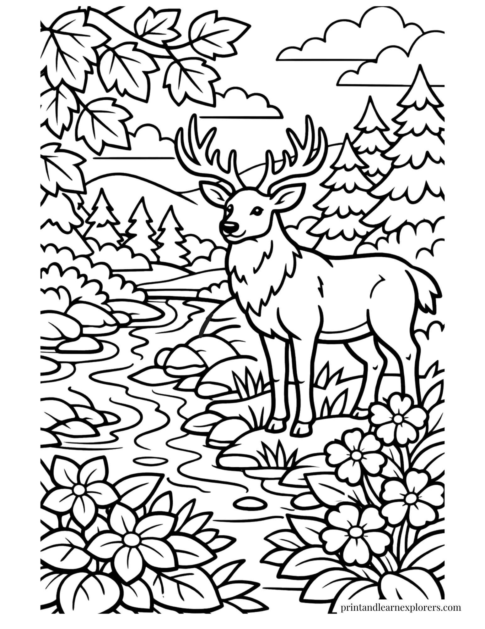 03 majestic deer by stream coloring page