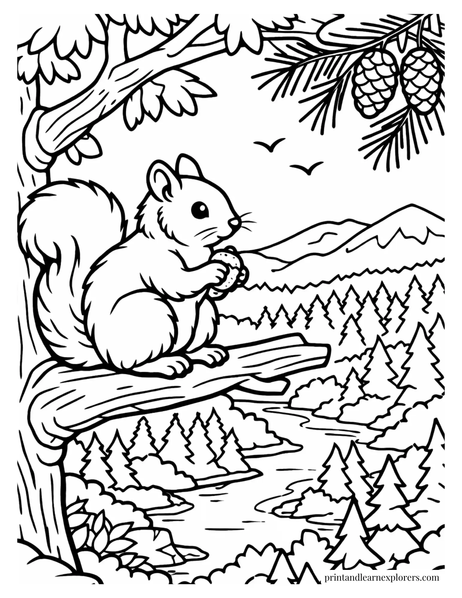 Squirrel balancing on a tree branch coloring page