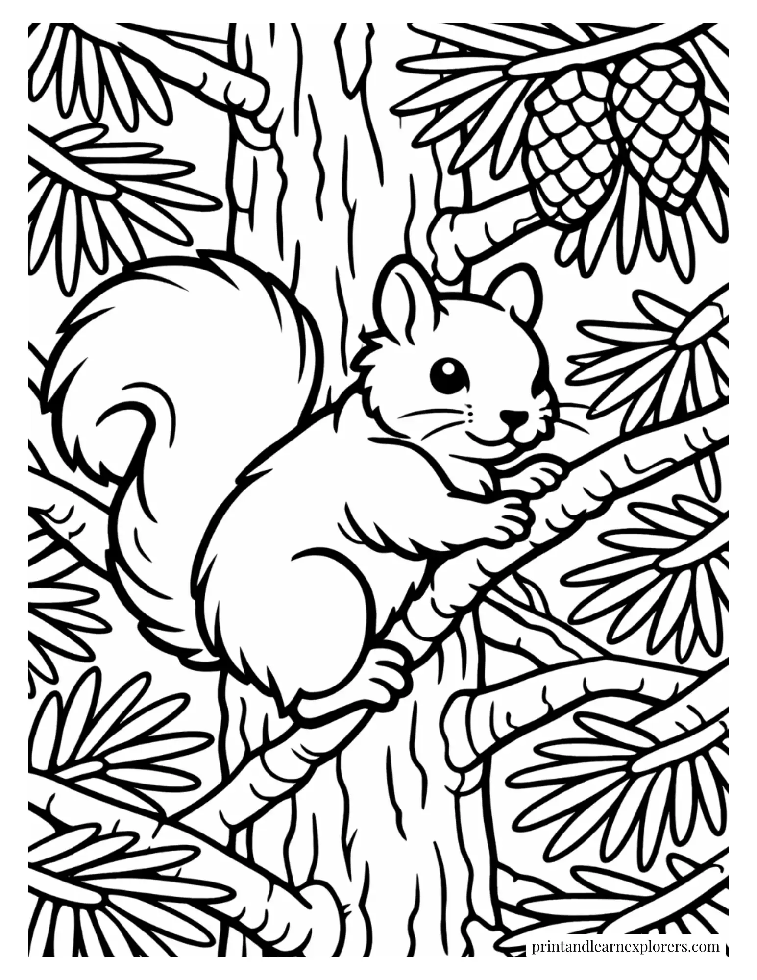 Squirrel climbing through a pine tree coloring page