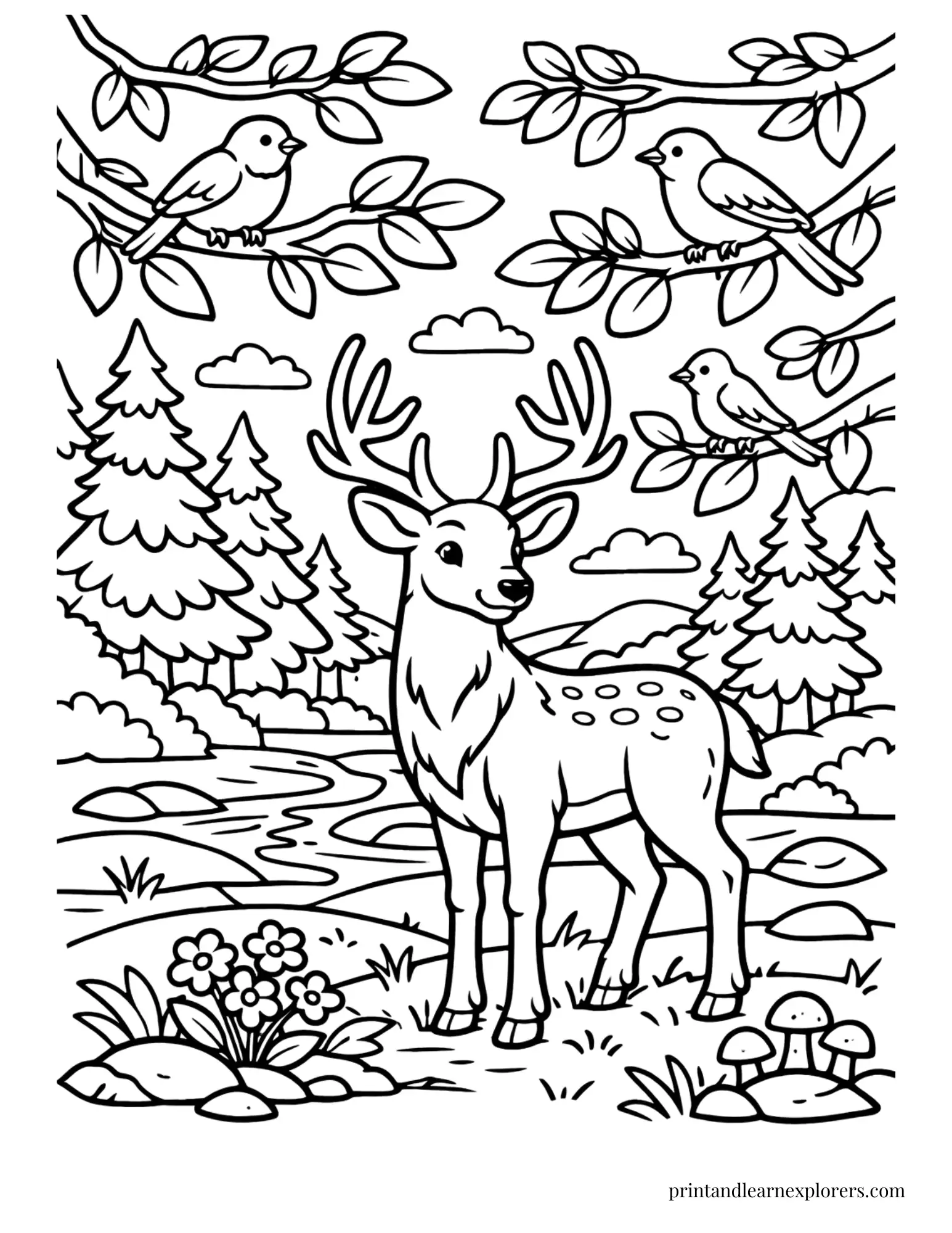 04 woodland deer with birds coloring page