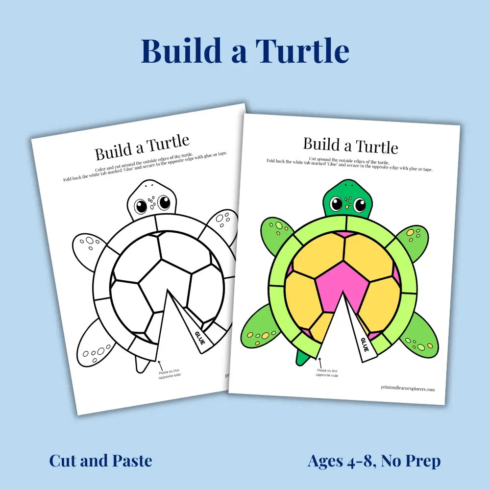 Build a turtle cut and paste activity
