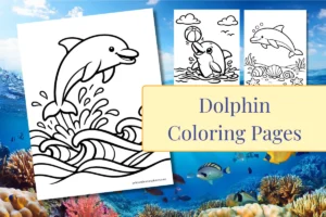 Dolphin Coloring Pages feature