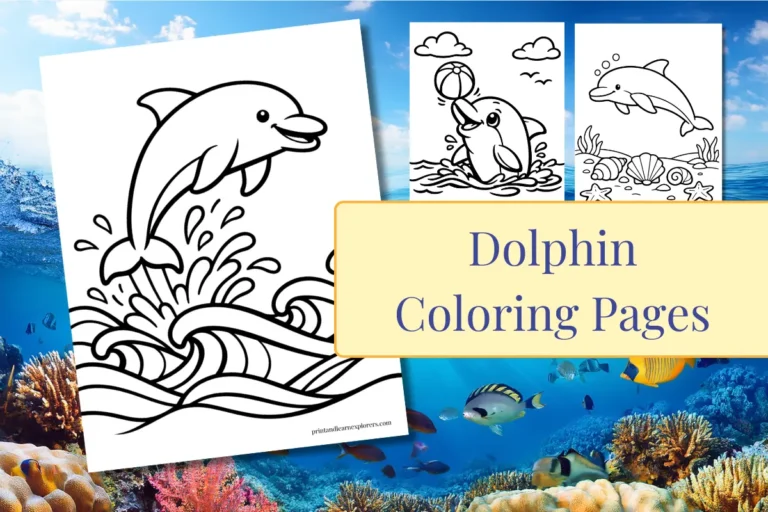 Dolphin Coloring Pages feature