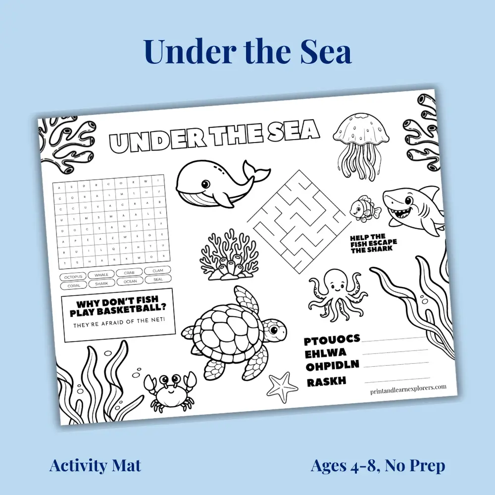 Under the Sea Activity Mat