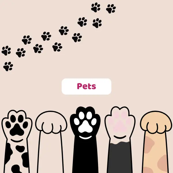 pets animals