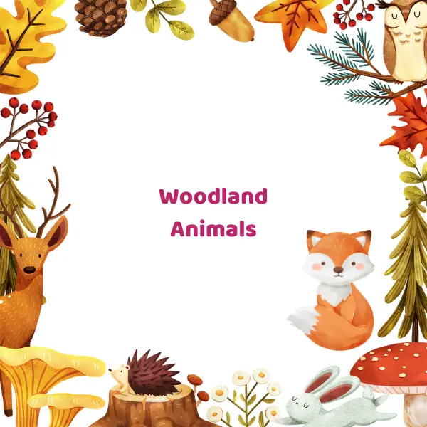 woodland animals