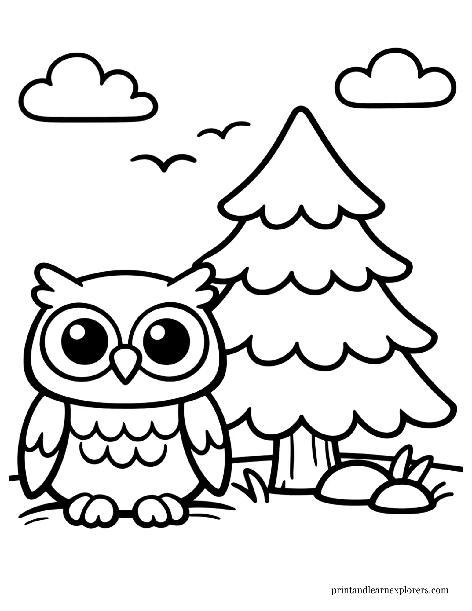 08 simple owl pine tree coloring page
