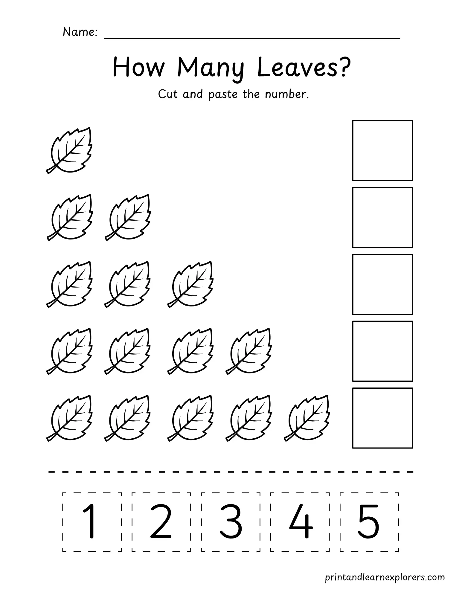 How many leaves cut and paste 1
