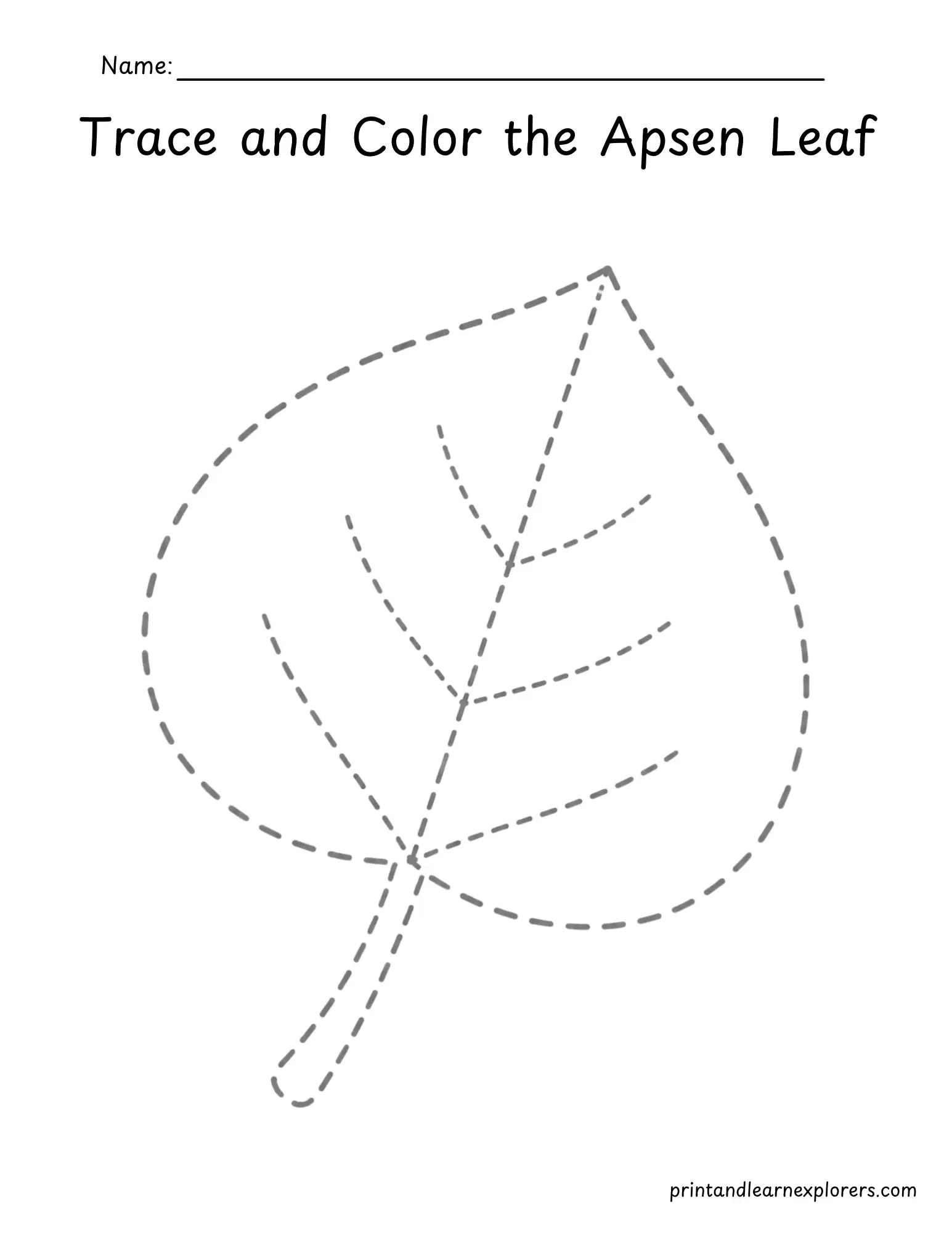 Trace and color the aspen leaf worksheet