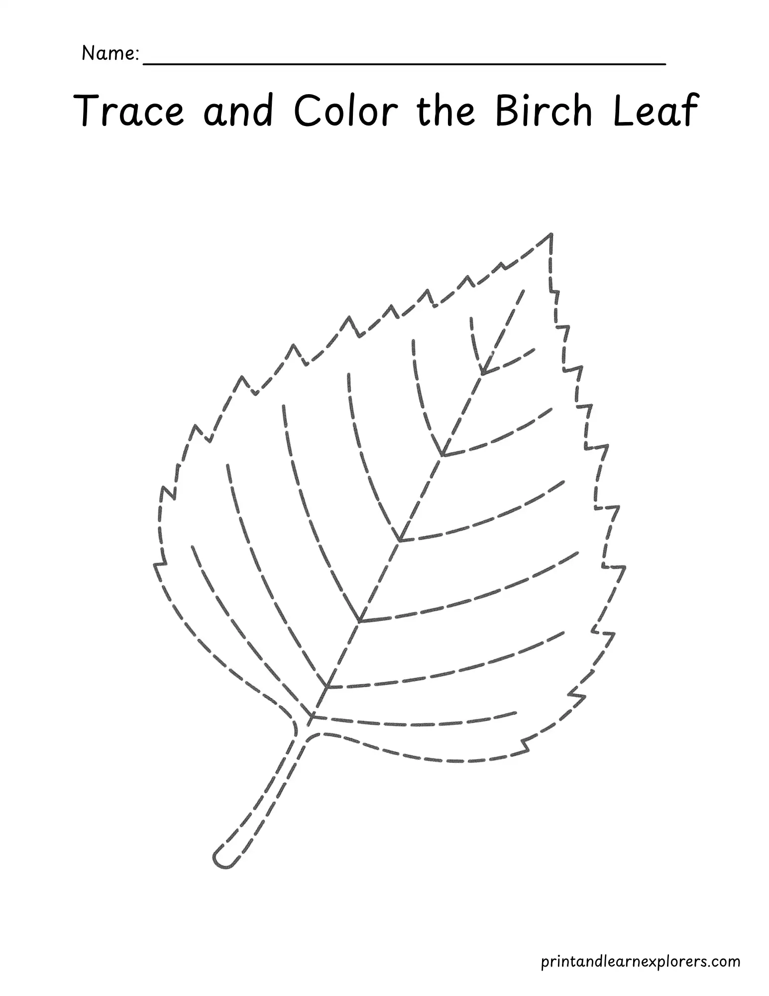 Trace and color the birch leaf worksheet