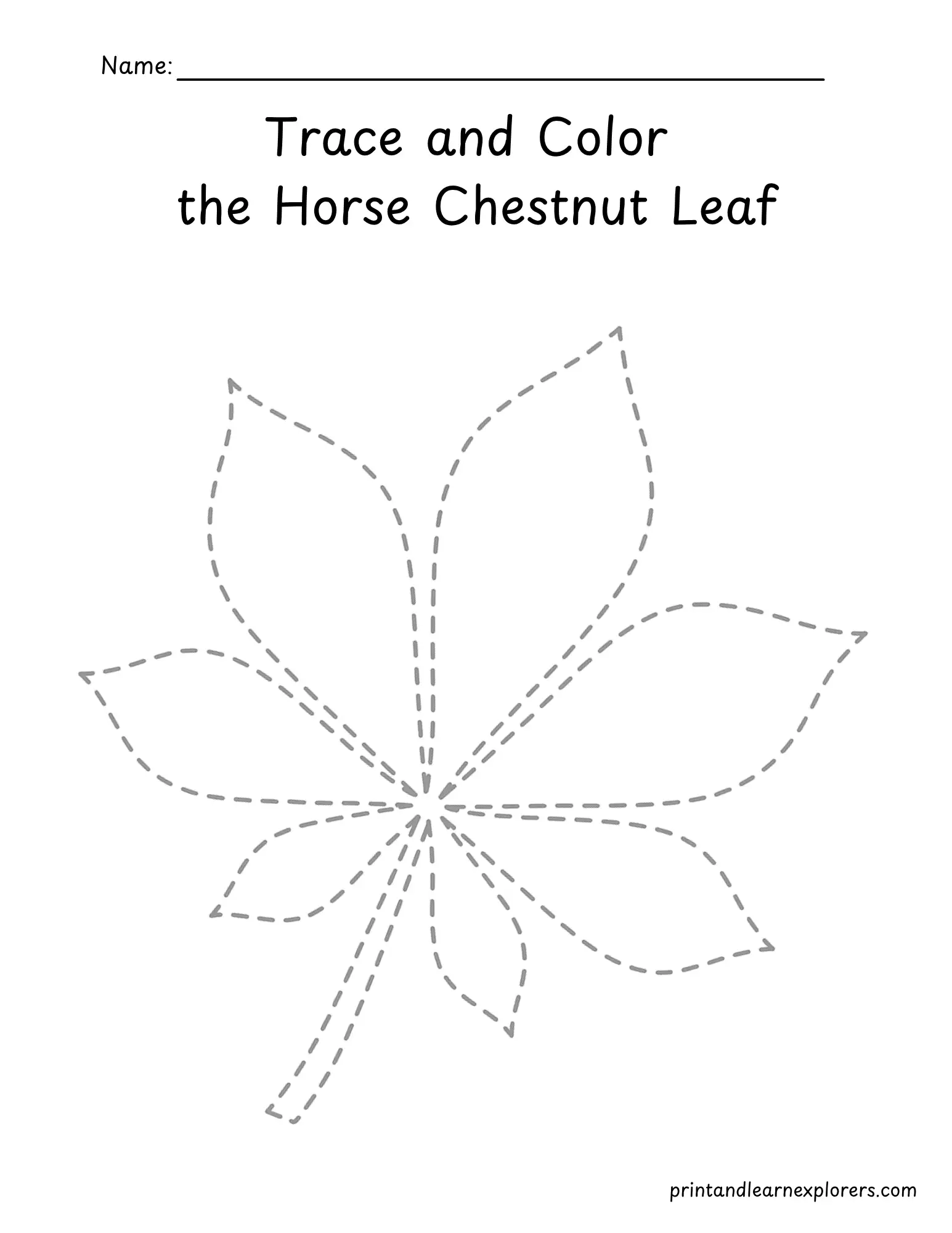 Trace and color the horse chestnut leaf worksheet