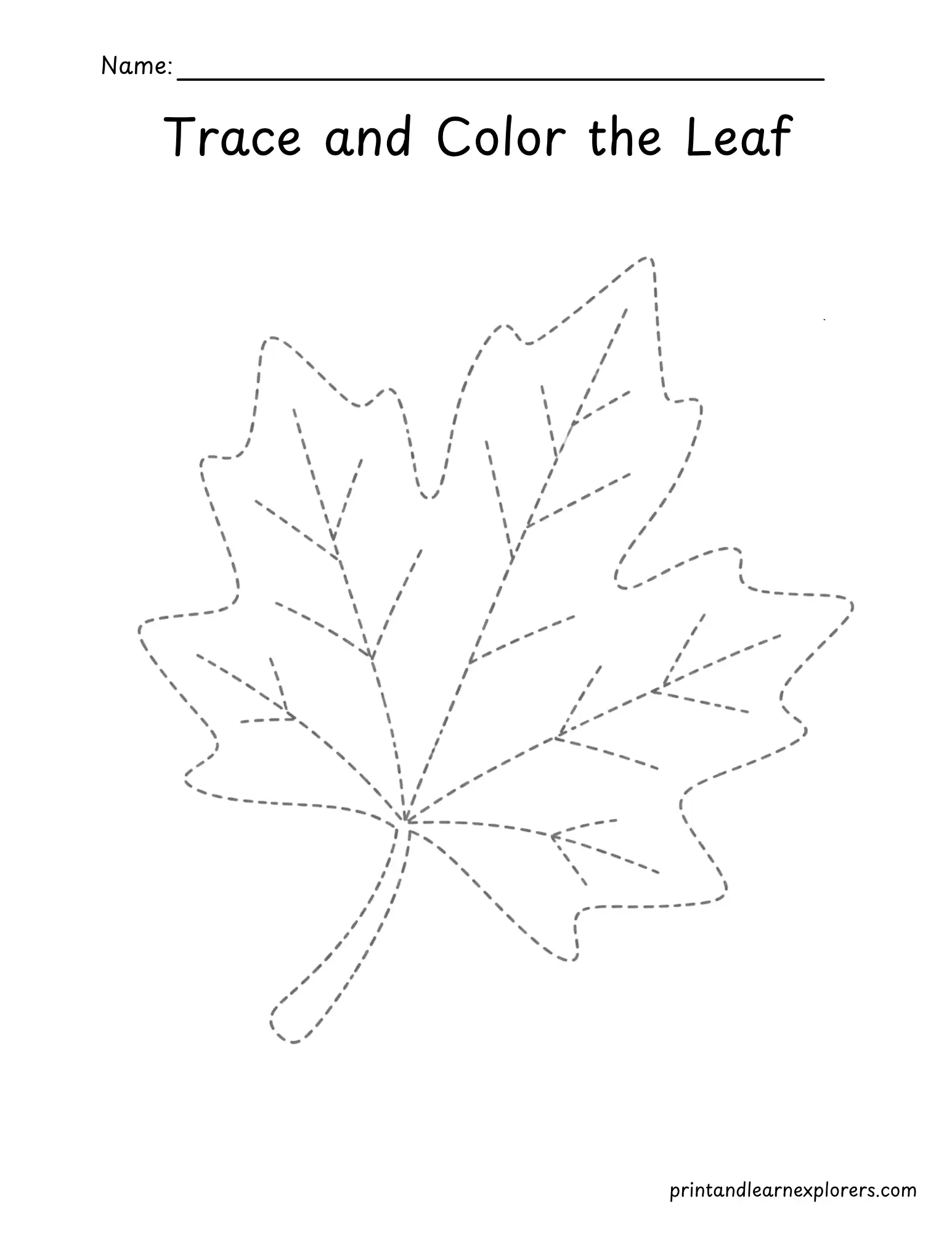 Trace and color the leaf worksheet