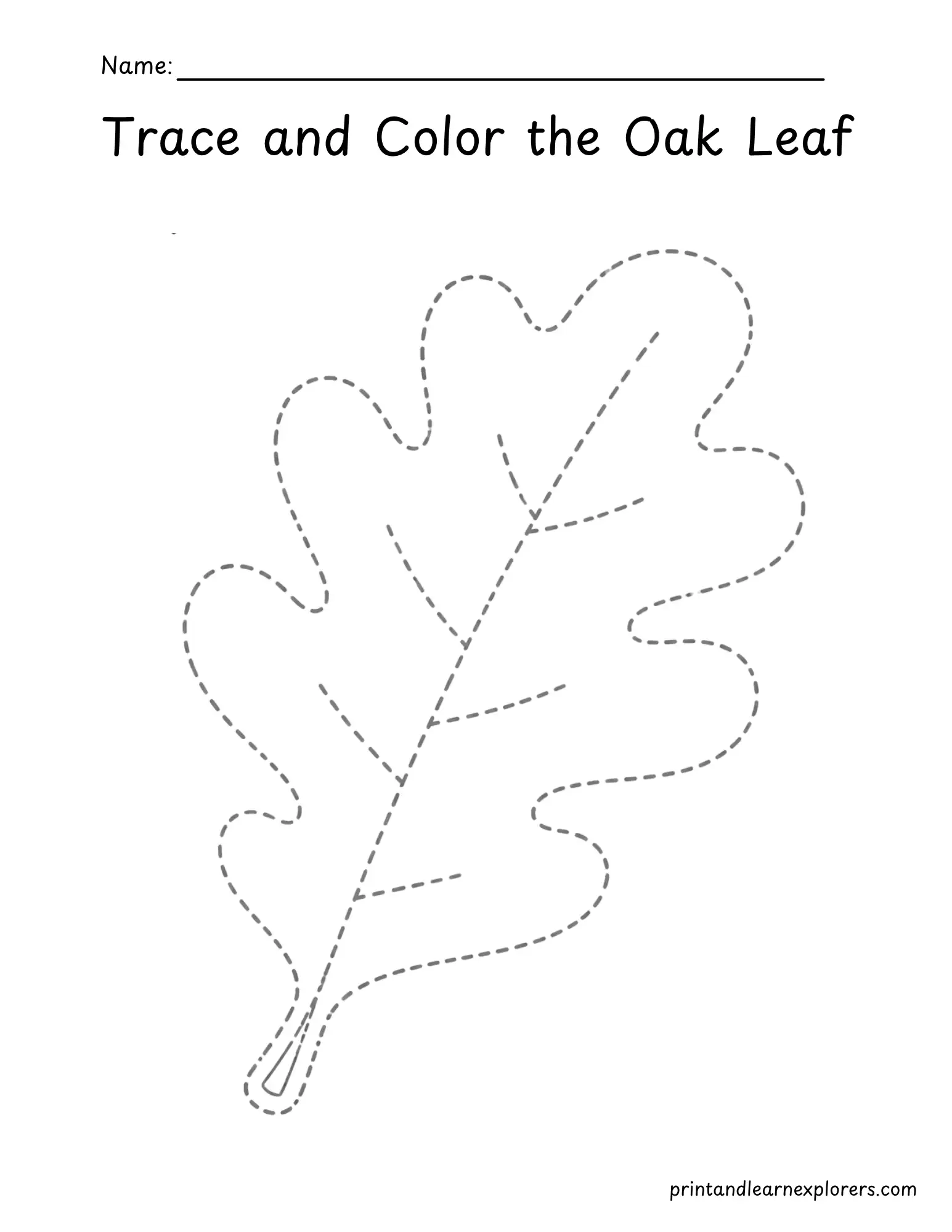 Trace and color the oak leaf worksheet