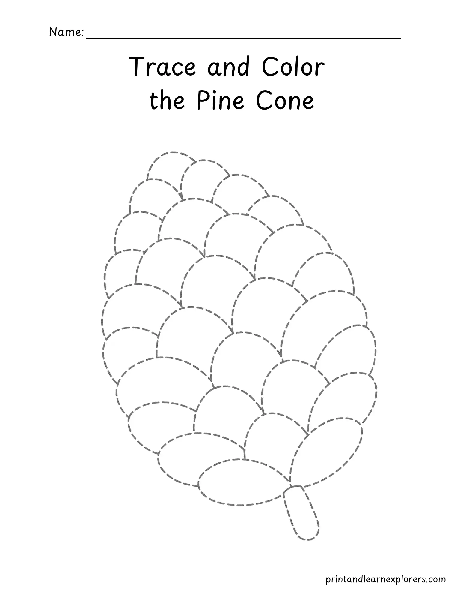 Trace and color the pine cone worksheet