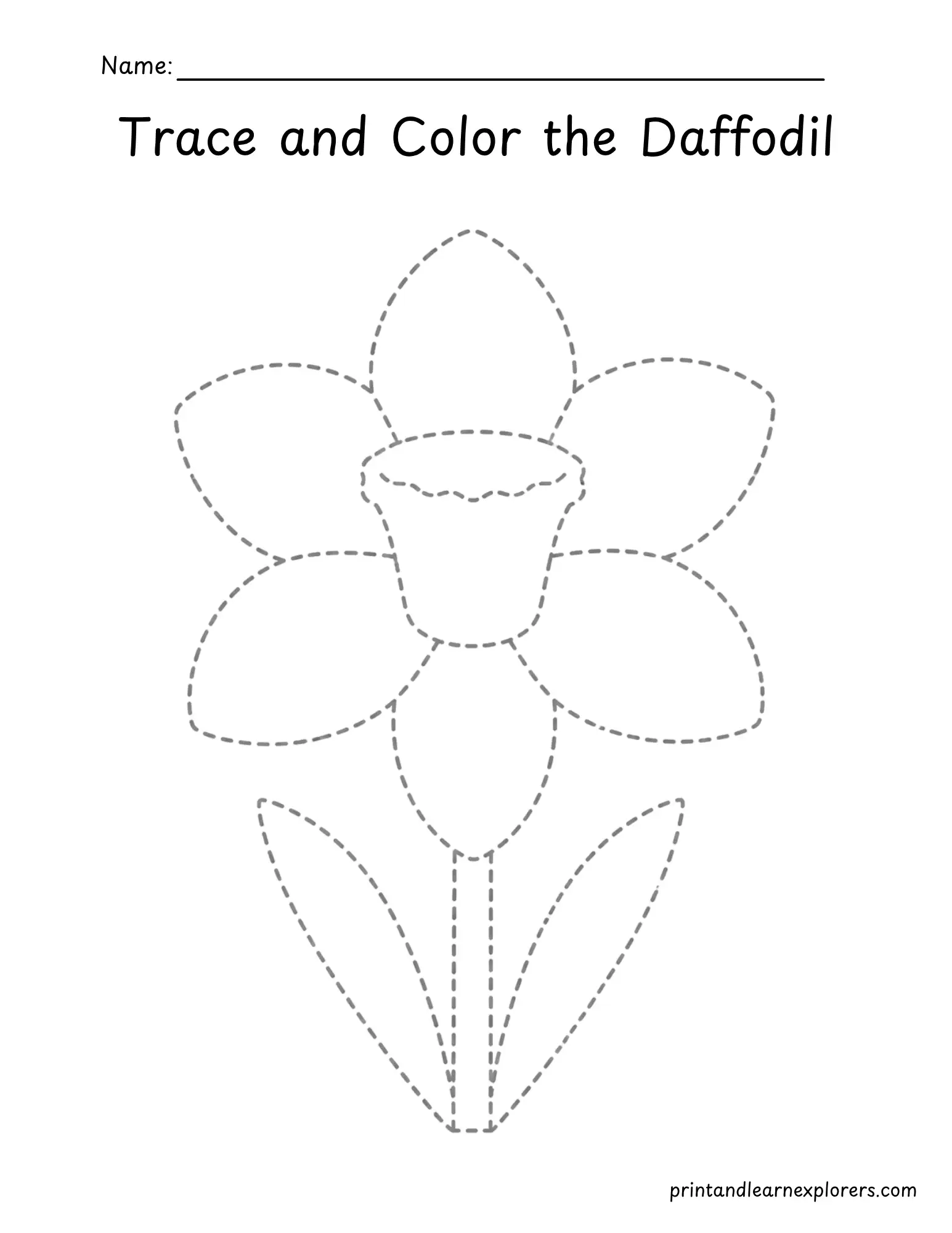 daffodil tracing worksheet