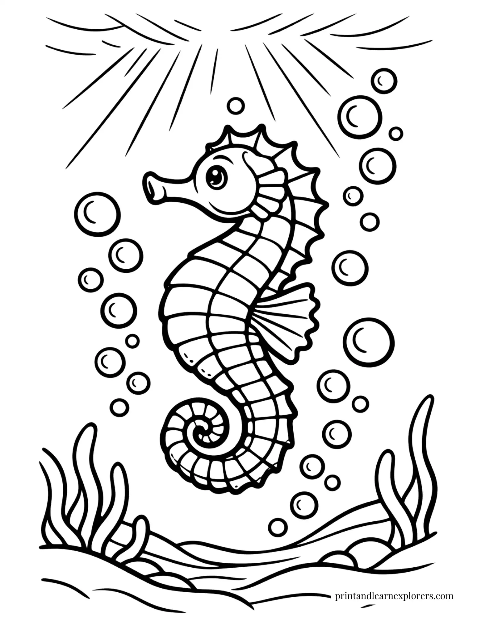 seahorse in the sun light coloring page