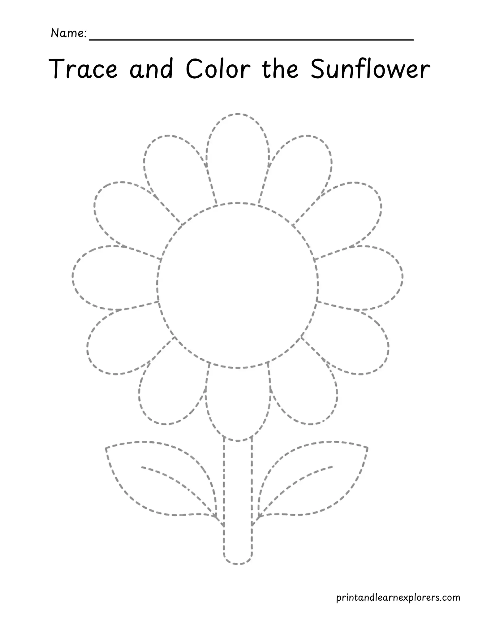 sunflower tracing worksheet