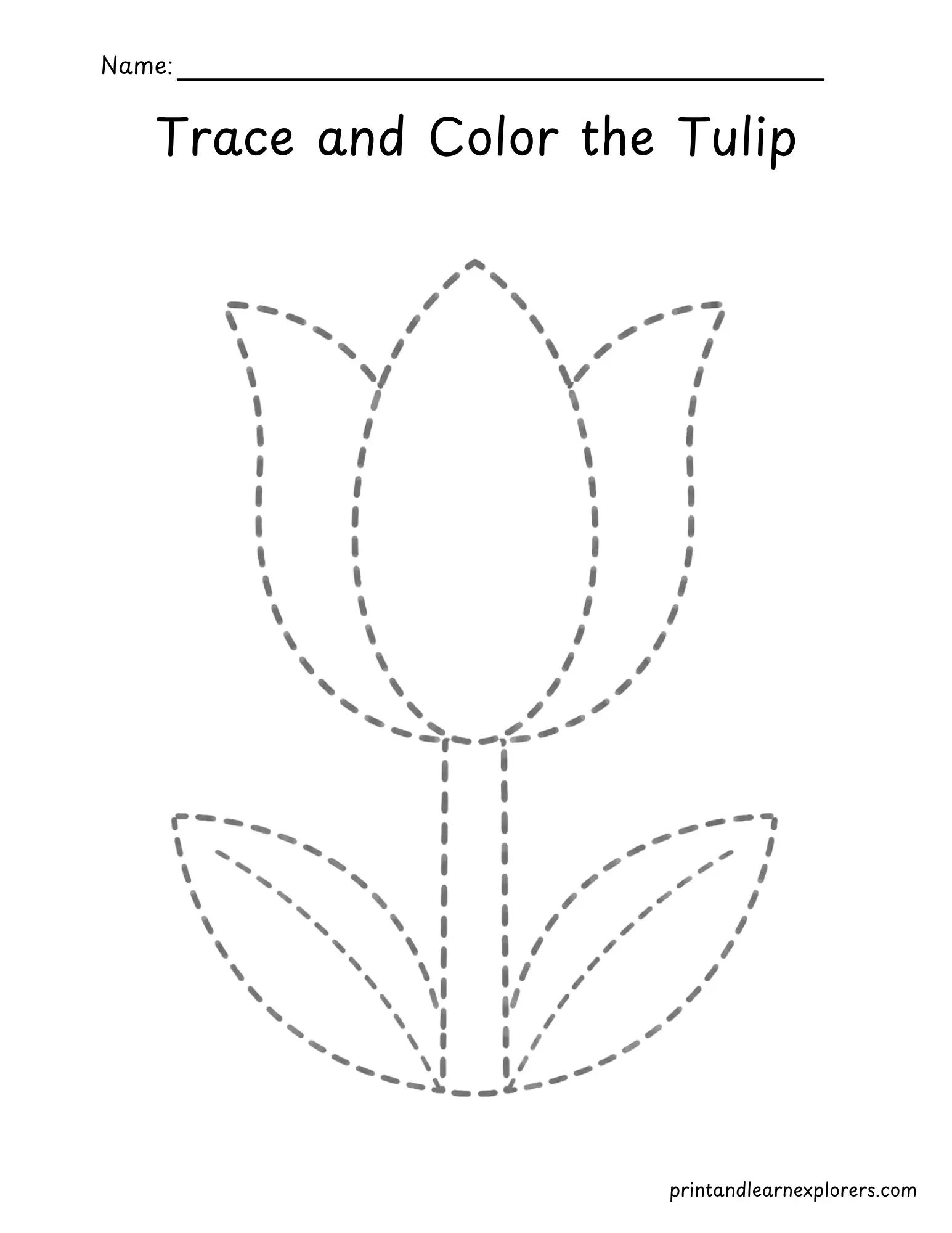 tulip flower tracing worksheet