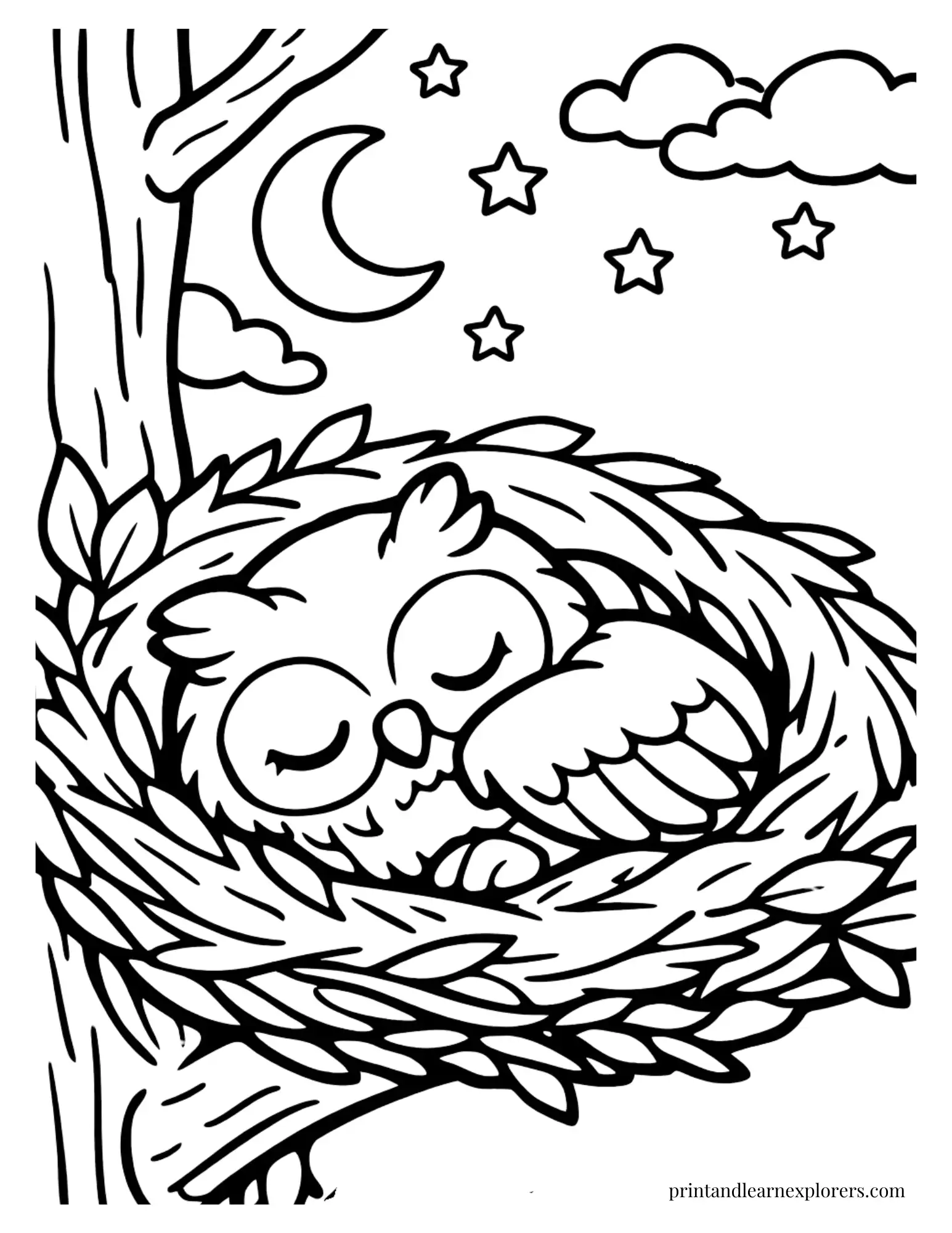 baby owl nest coloring page