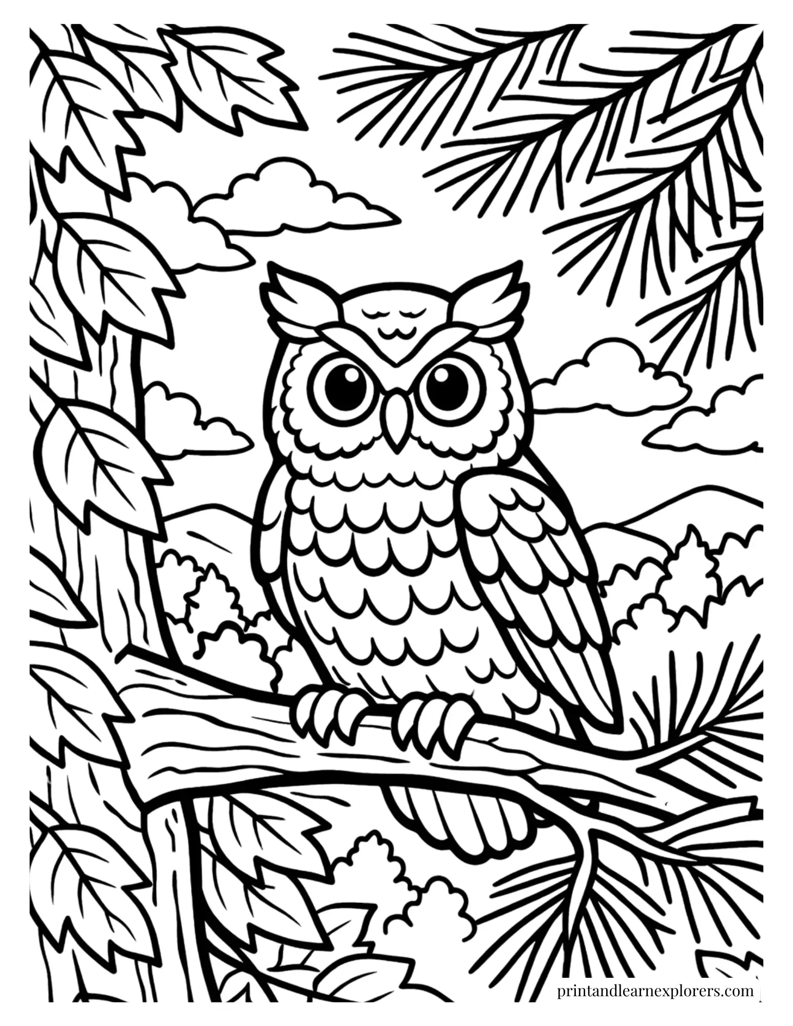 owl high tree branch coloring page