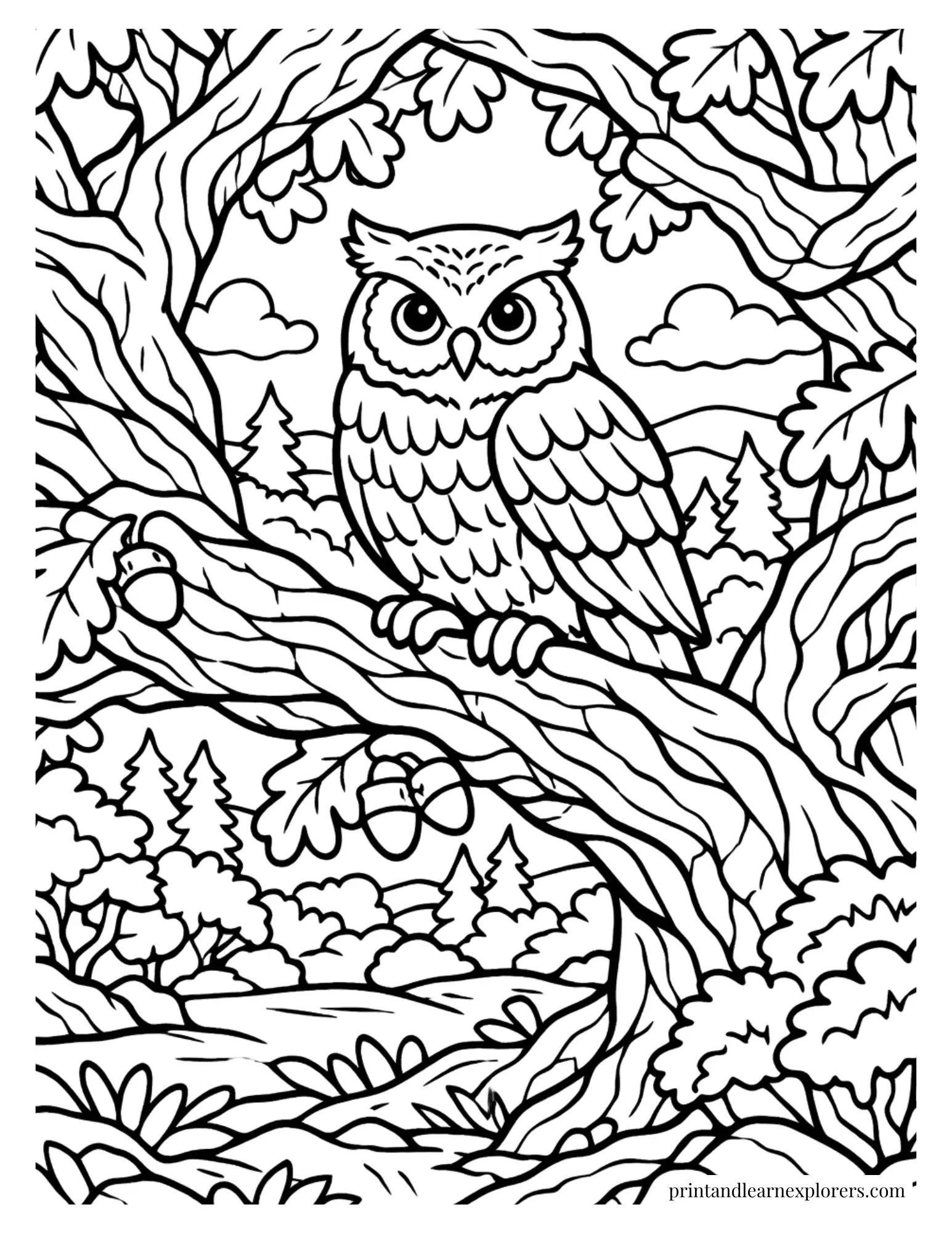 owl large oak tree coloring page