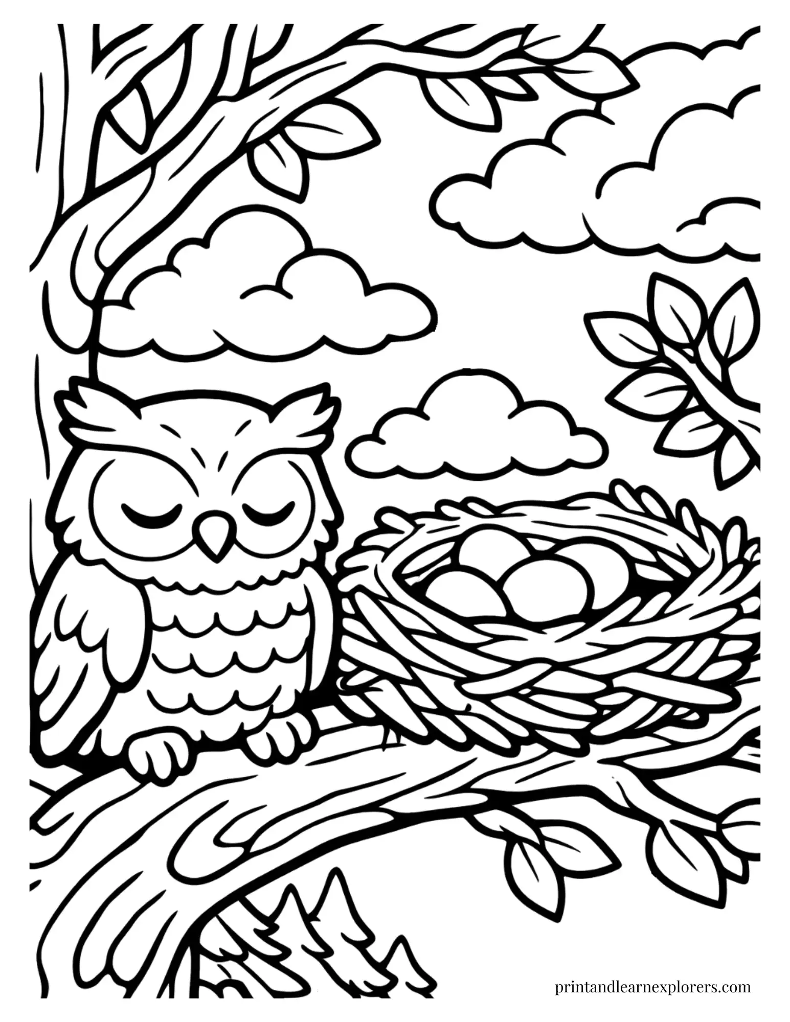 owl nest tree coloring page