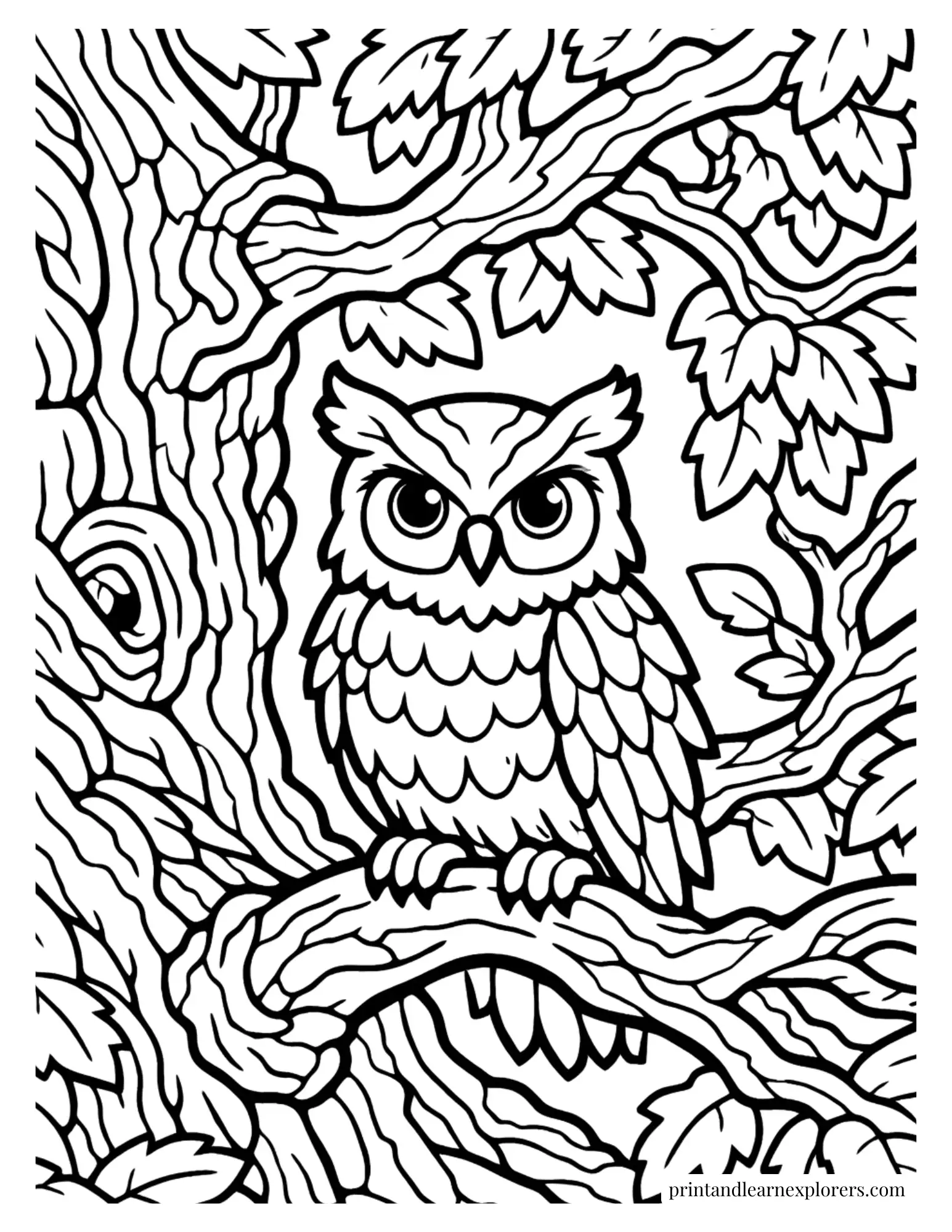 owl old tree coloring page