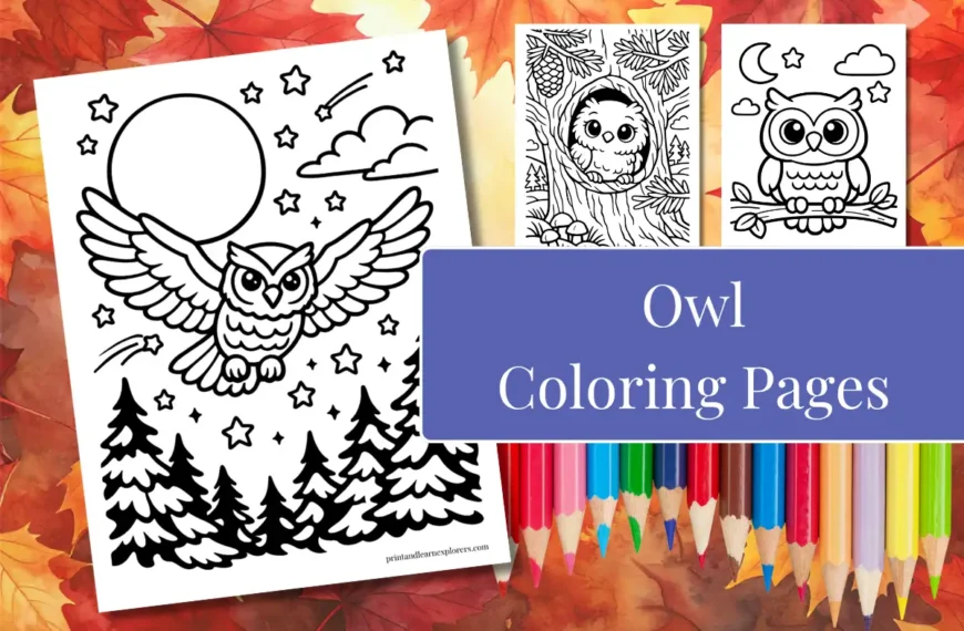 owl coloring pages