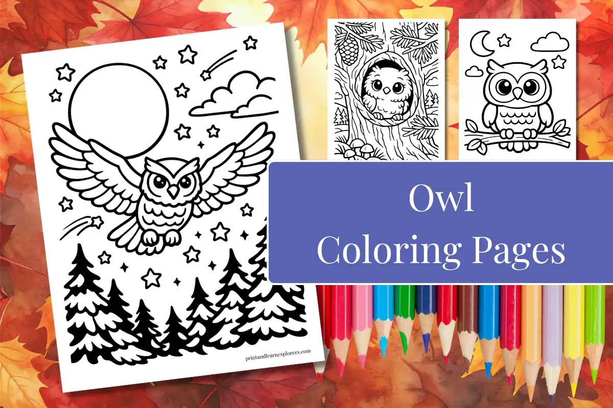 owl coloring pages