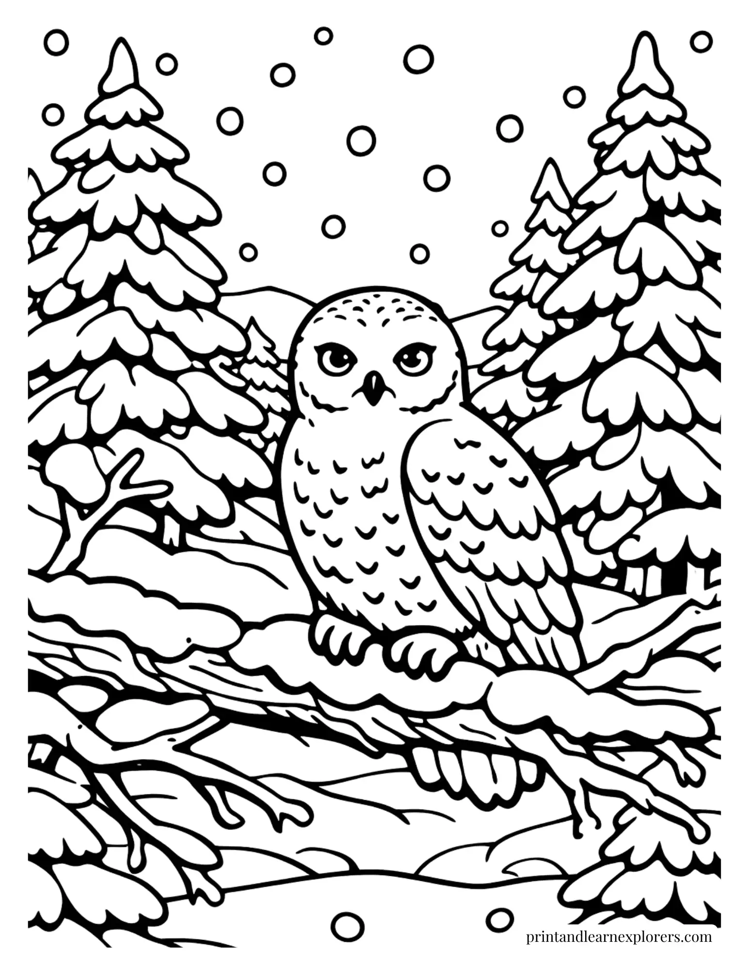 snowy owl sitting in a tree coloring page